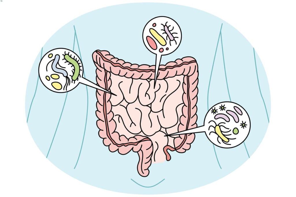 Probiotyki - zalety działania w przewodzie pokarmowym?
