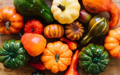 Zdrowe i smaczne potrawy z sezonowych warzyw!